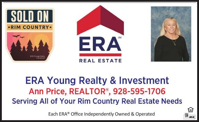 ERA Real Estate - Ann Price