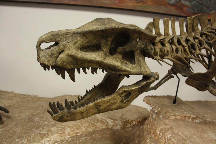 Looking for the last aetosaur | 260 Connection | paysonroundup.com