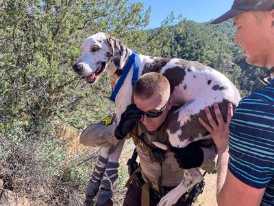 Hiker, dog rescued from Hellsgate | Local News ...