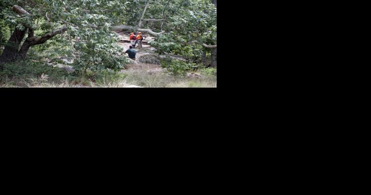 Judge rules Forest Service not liable for Water Wheel tragedy - Vimarsana News