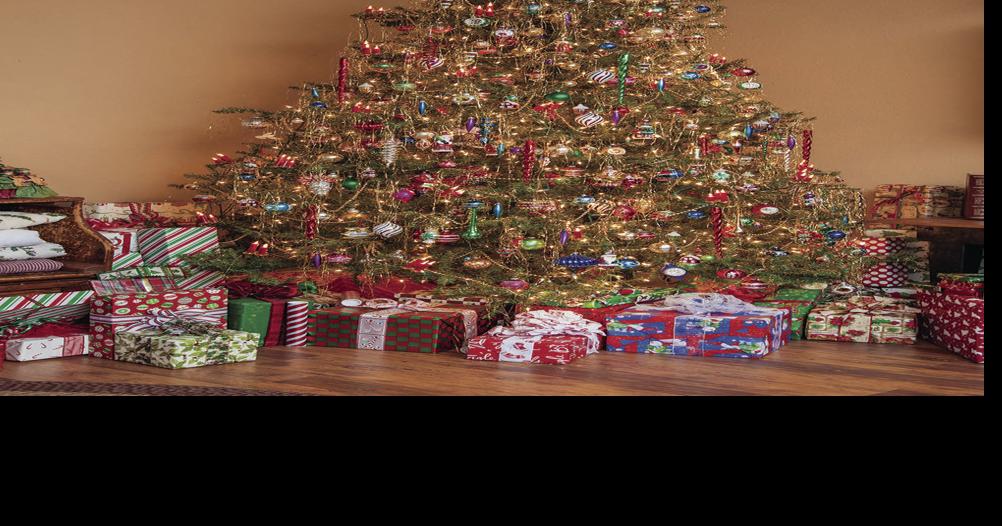 Town of Payson Christmas Tree Recycling Local News