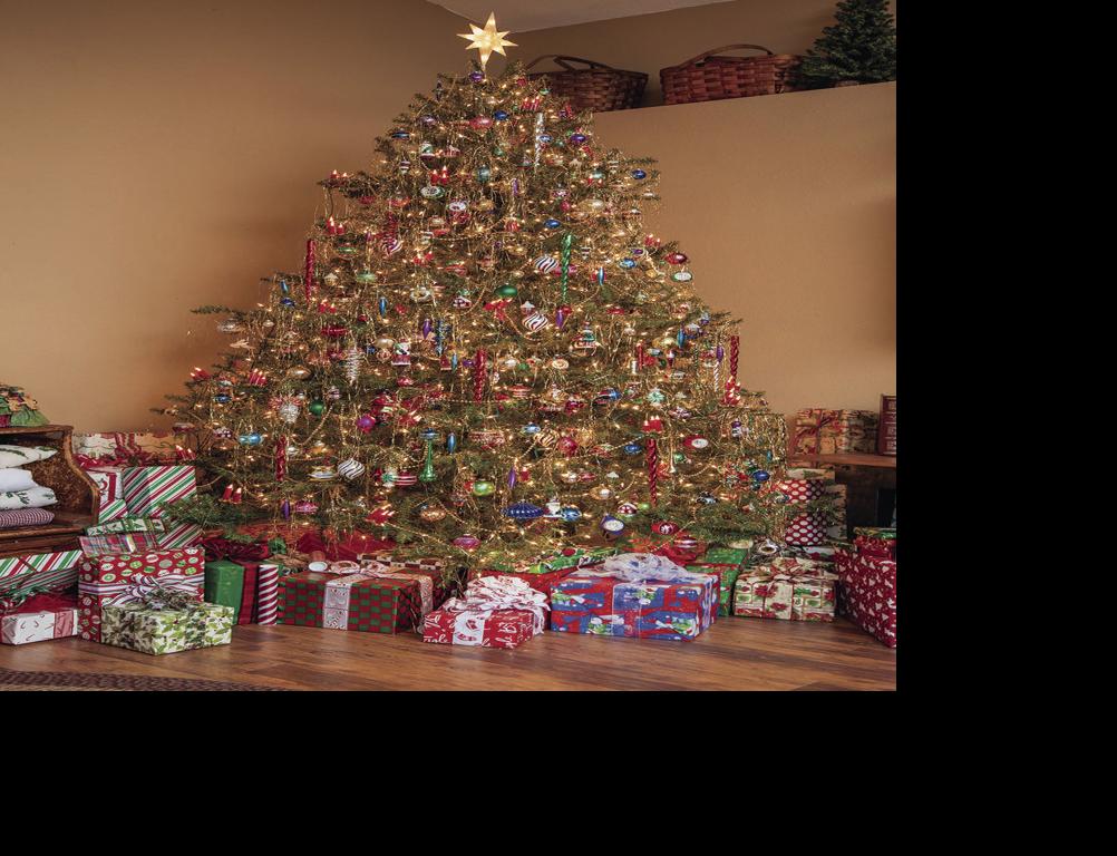 Town Of Payson Christmas Tree Recycling Local News Paysonroundup Com