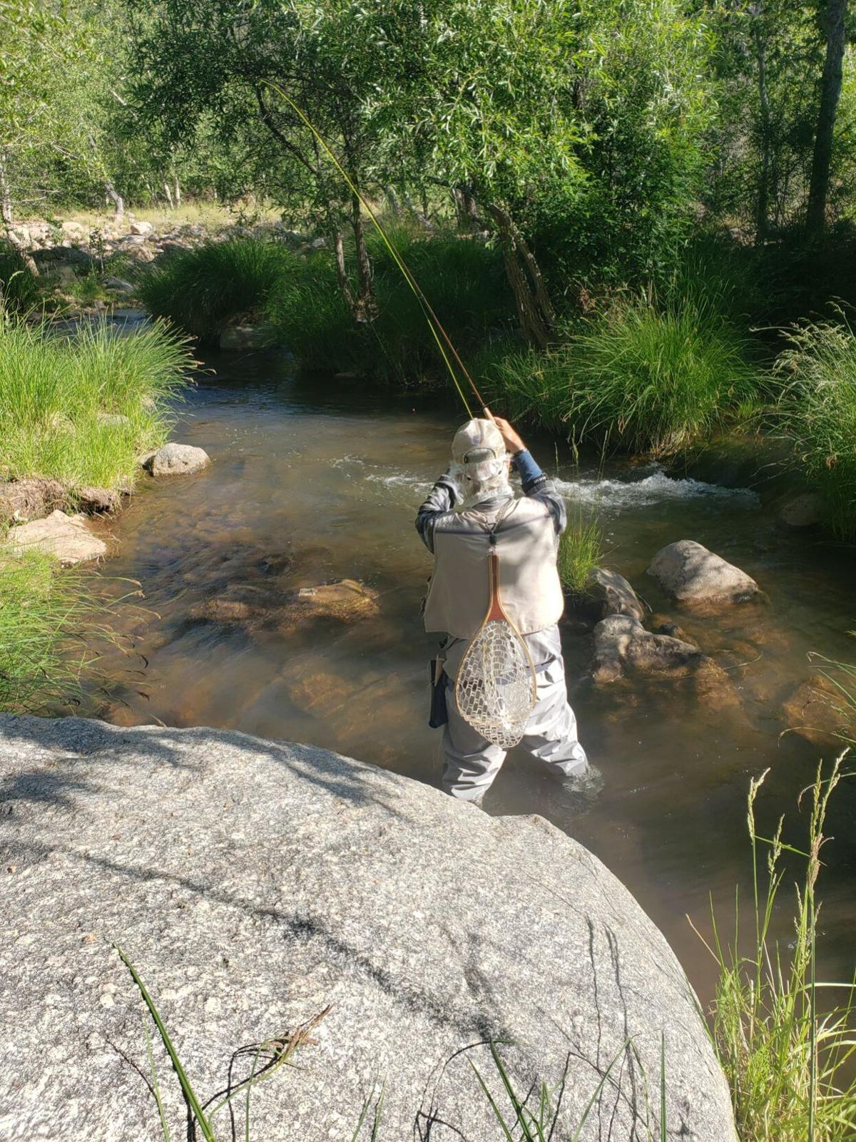 Gila and Apache trout fishing opportunities in Rim Country Local News