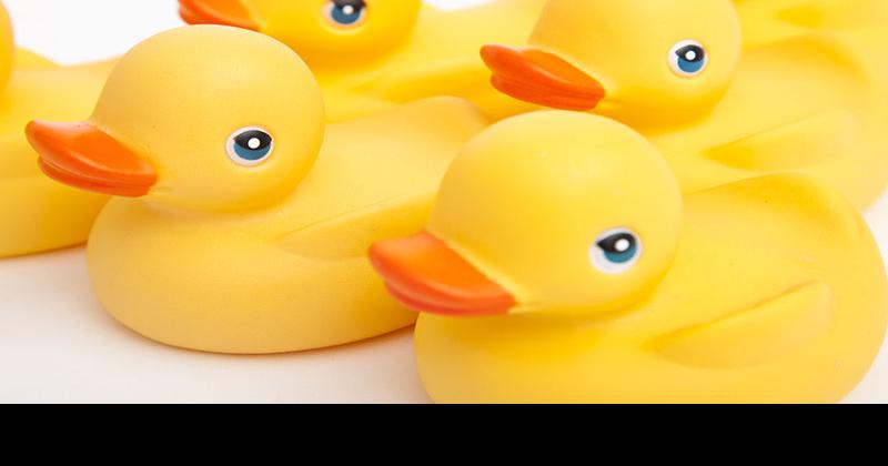 Don’t miss Rubber Duckie race for charity this weekend | Local News ...
