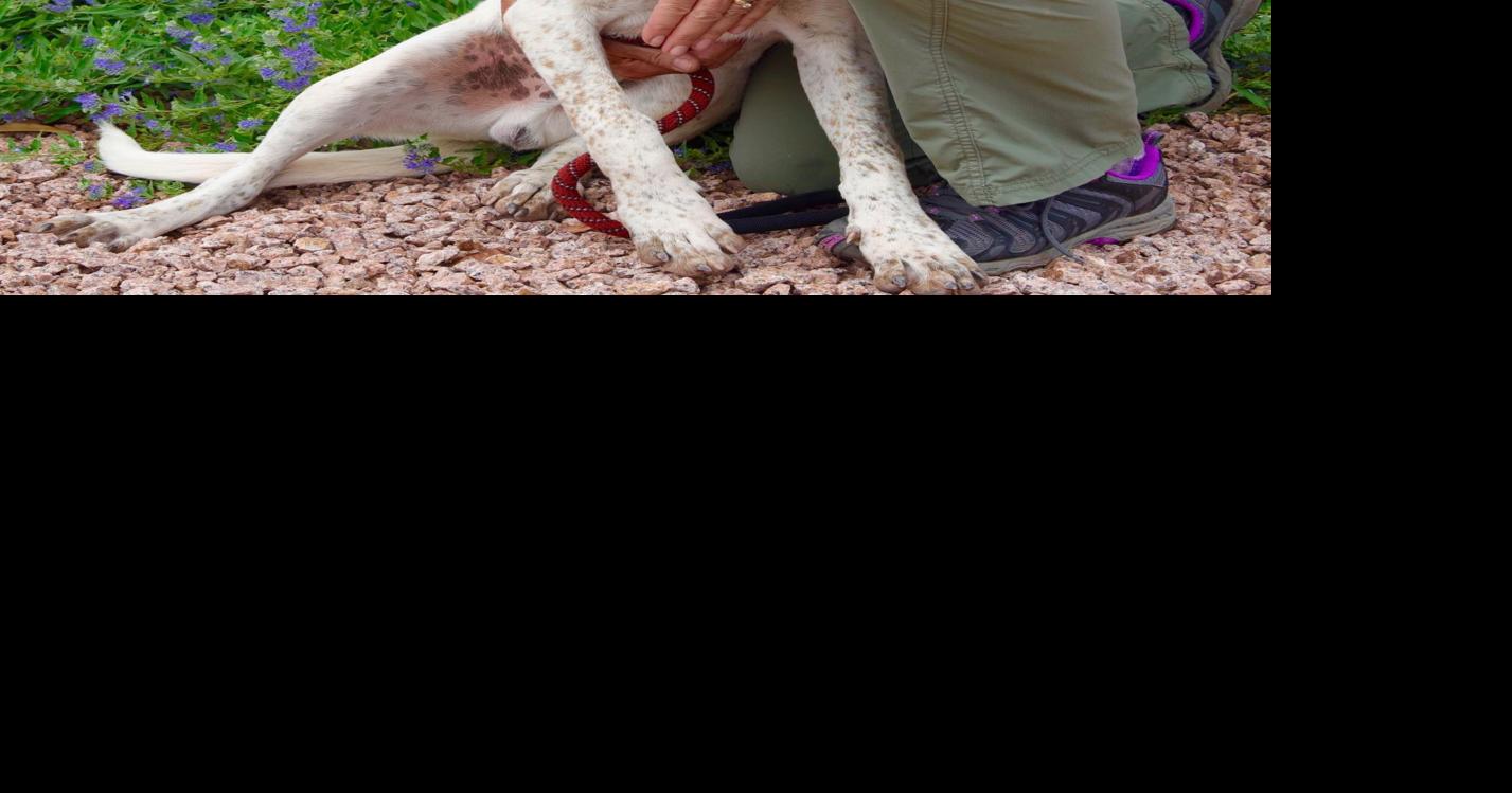 Humane Society thrift store looking for volunteers