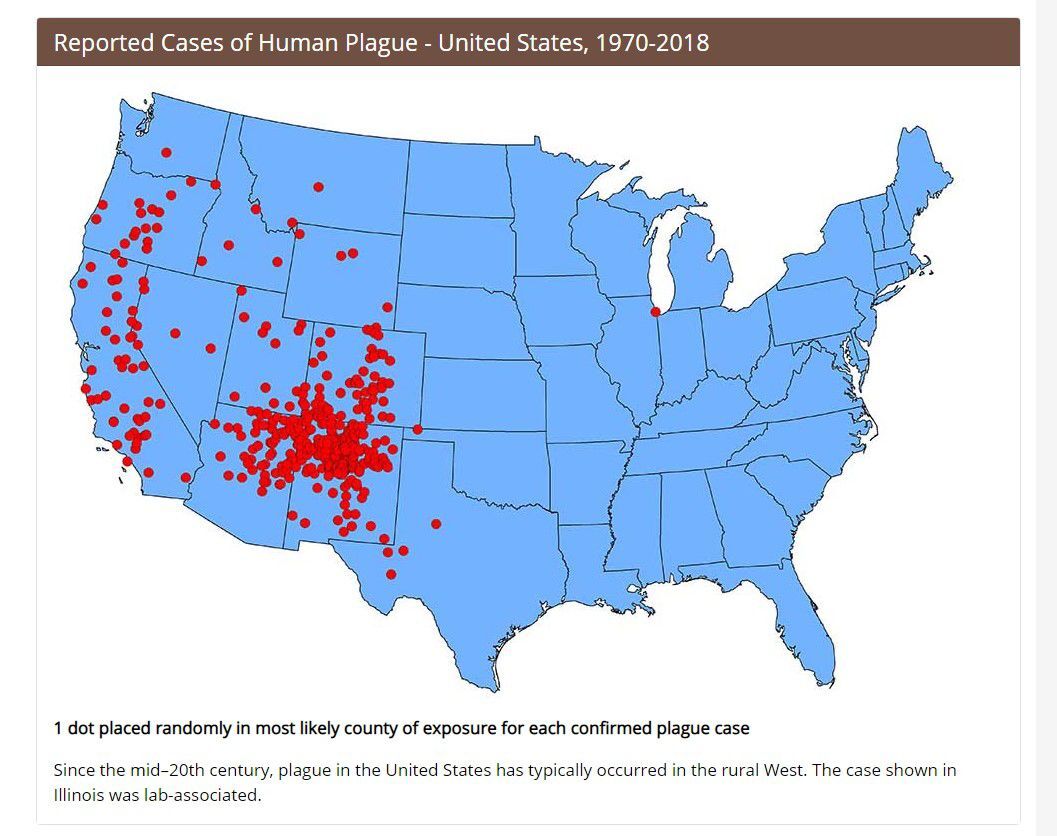 Bubonic Plague case reported in Navajo County