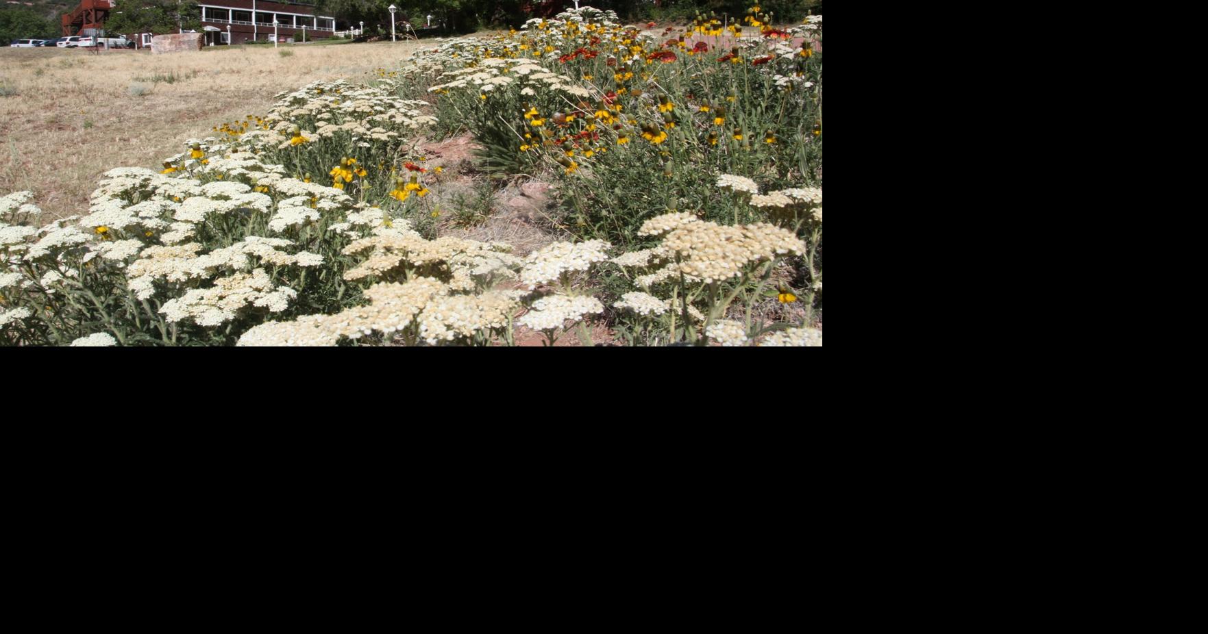 Tonto Natural Bridge lodge