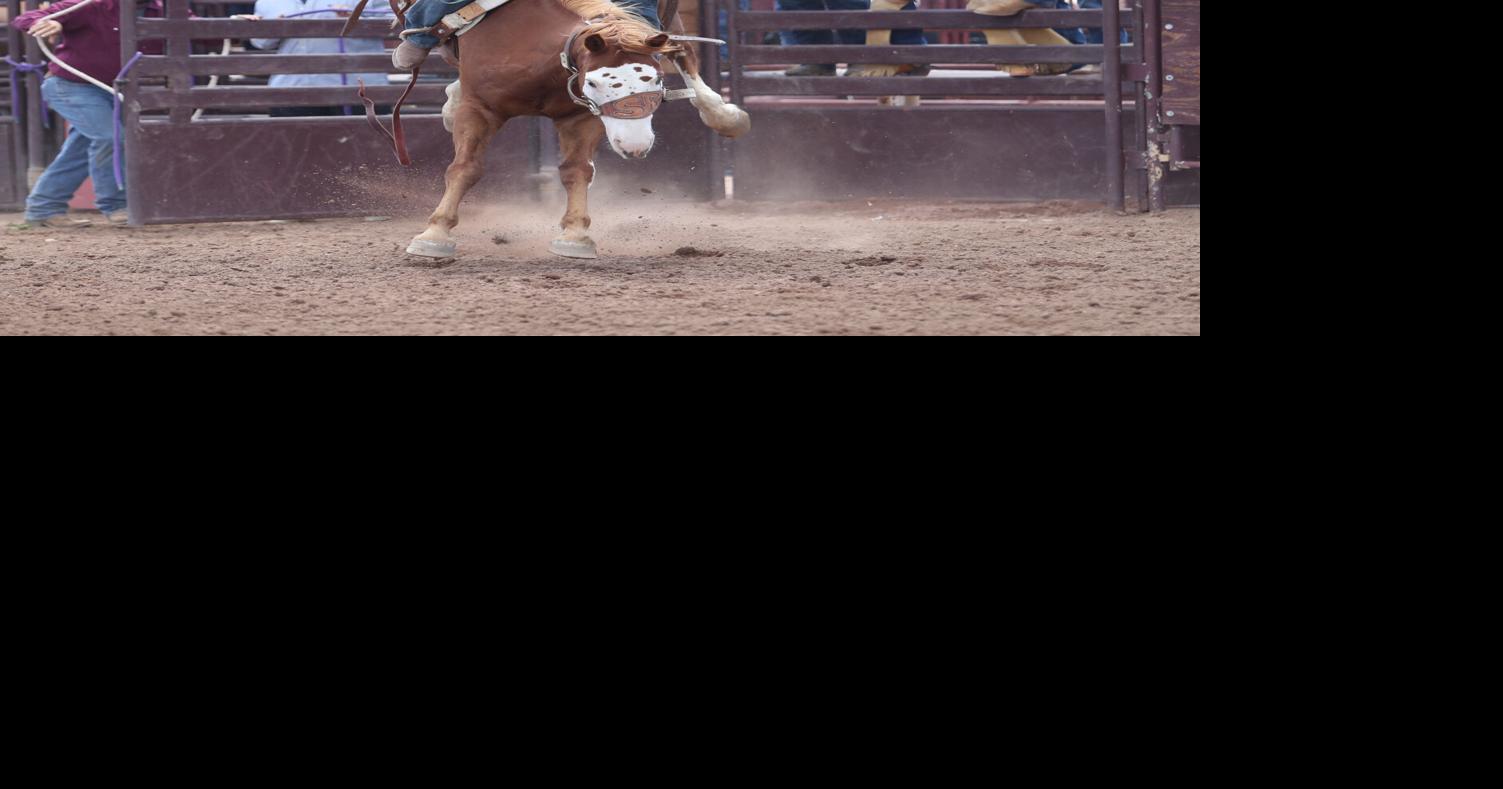 Gila County gives $20,000 to promote Payson Rodeo | News ...