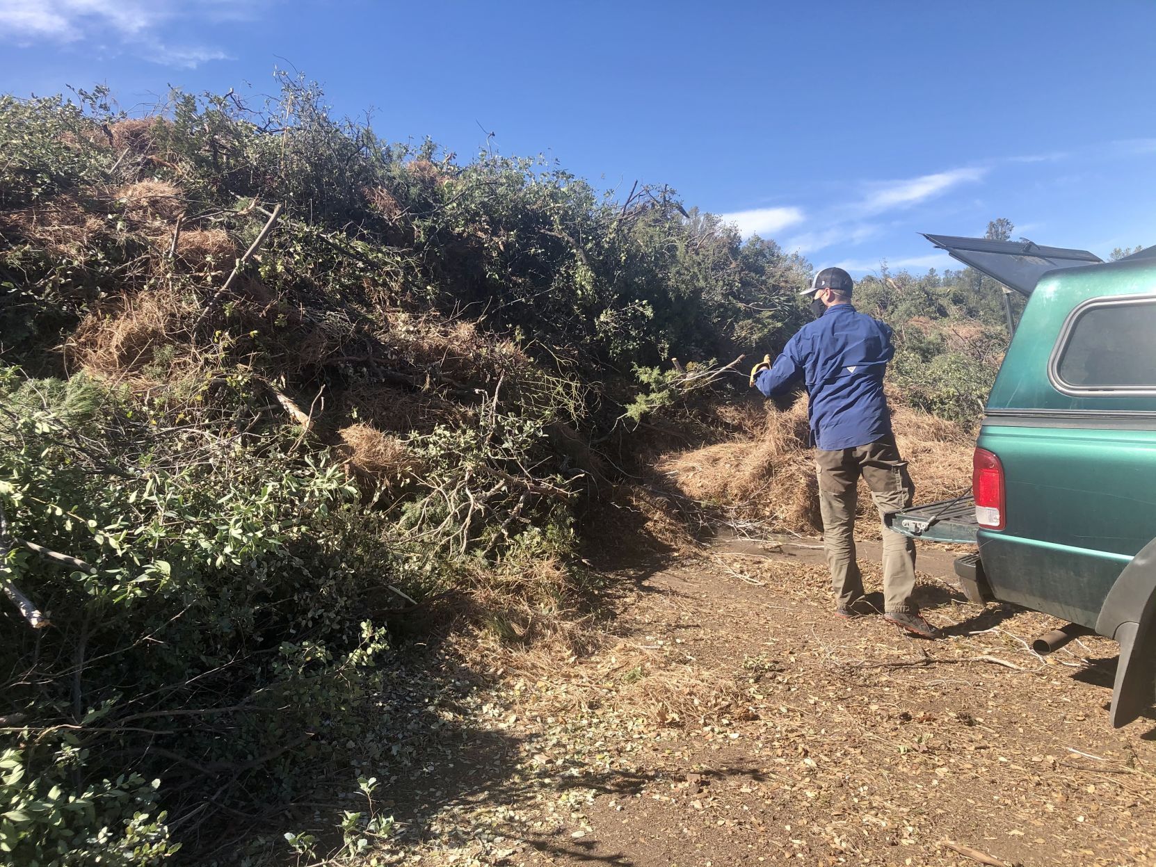 1,400 tons of brush hauled away from Event Center - Vimarsana News