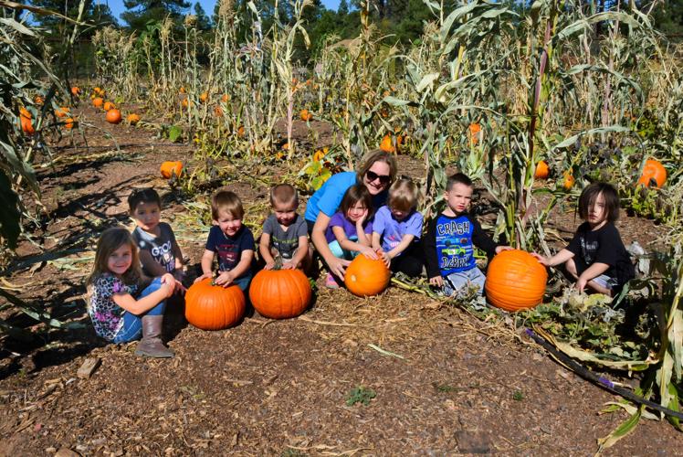 It's pumpkin time at Payson Community Garden | Payson ...