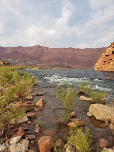 Fish Lees Ferry and help native fish at the same time | Local News ...