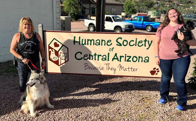 Hometown Heroes: Humane society shelter volunteers, staff | Local News |  