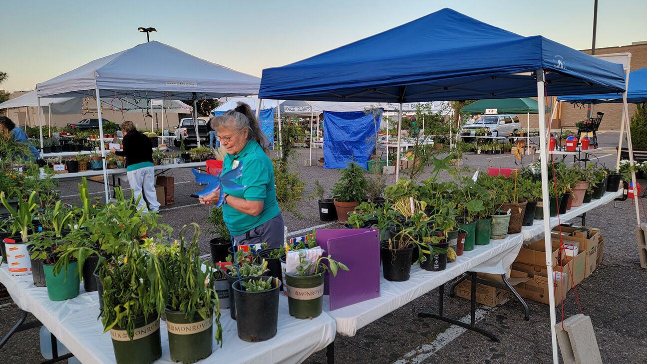 Big lots 2024 tent sale