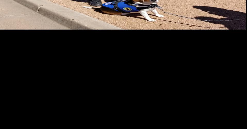 Banner Health digital assistant joins ER team in Payson Health