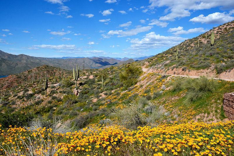 The Apache Trail A Photographer S Dream Day Unfolds On Scenic Drive Local News Paysonroundup Com
