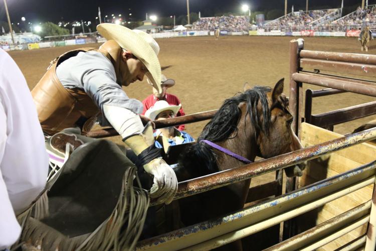 Gibson Rodeo Taylor cowboy bucks challenges of bareback riding | Local Sports ...