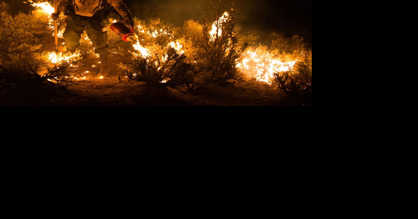 Black Mesa Ranger District resumes pile burning