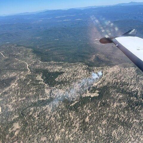 Apache-Sitgreaves National Forest reports wildfire caused by escaped campfire - Vimarsana News