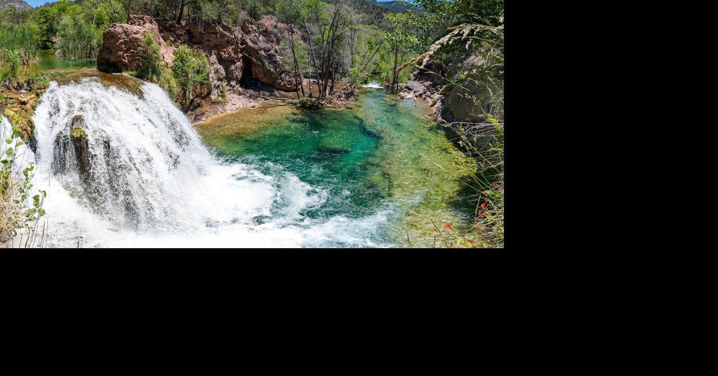 are dogs allowed at fossil creek