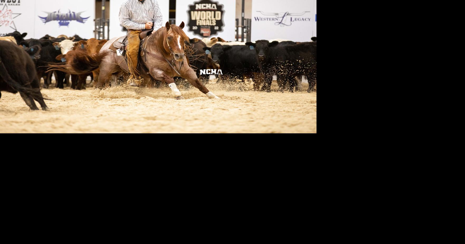 Payson man wins National Cutting Horse Association world championship
