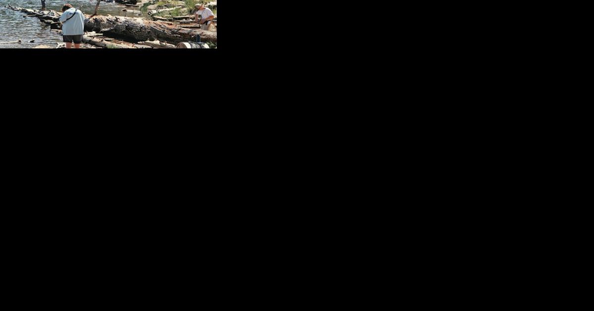 Arizona Fish Camp introduces young anglers to fishing, conservation
