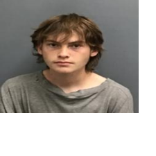 Two arrested in Forest Lakes crash that killed teen