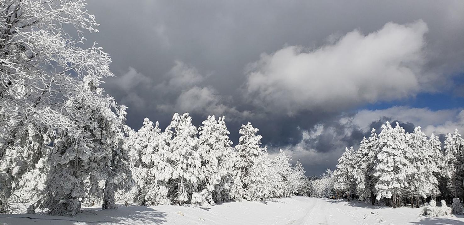 Flagstaff 2 Payson 0 for snow totals Local News