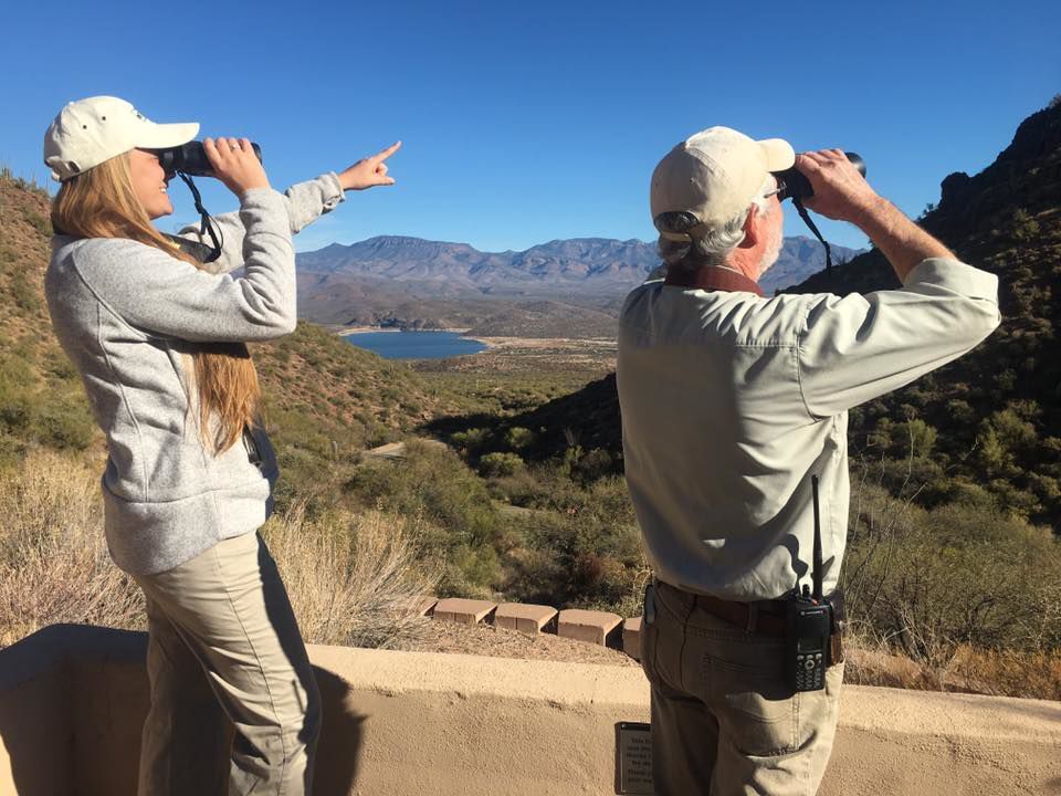 Birders needed for Global Big Day Annual Count May 8 - Vimarsana News