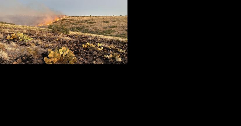 Weird year burns half as many acres as normal in Arizona - Vimarsana News