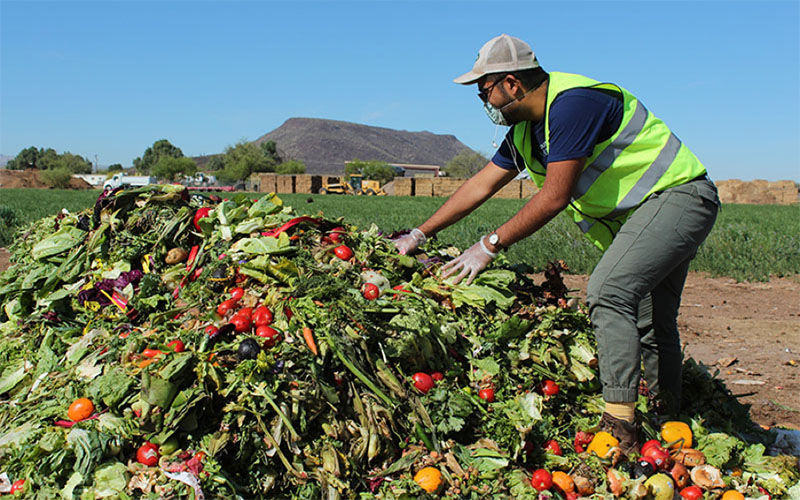 Arizona universities recognized as national leaders in composting