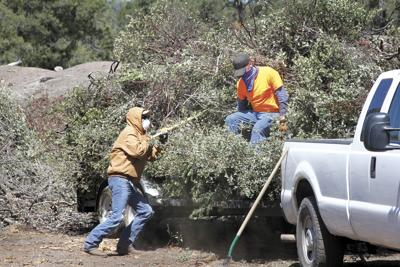 New and updated brush pits | Forest Management Wildfires ...