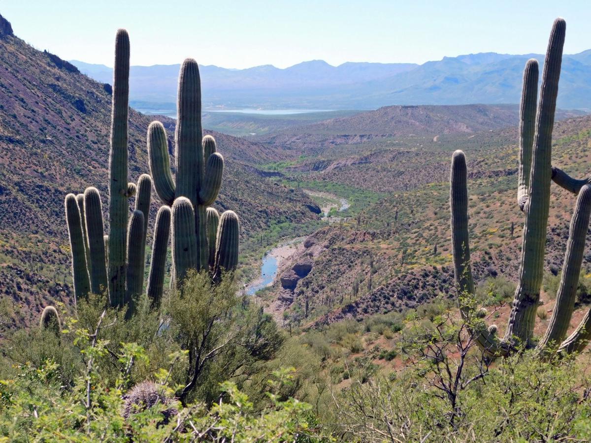 Beautiful Spring hike on Jug Trail Hiking & Trails