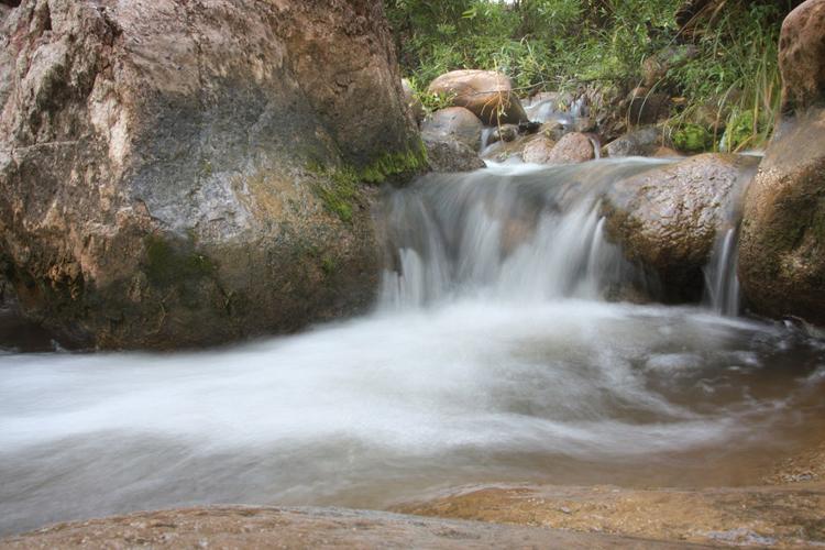 Haigler Creek proposed as a refuge for Gila trout