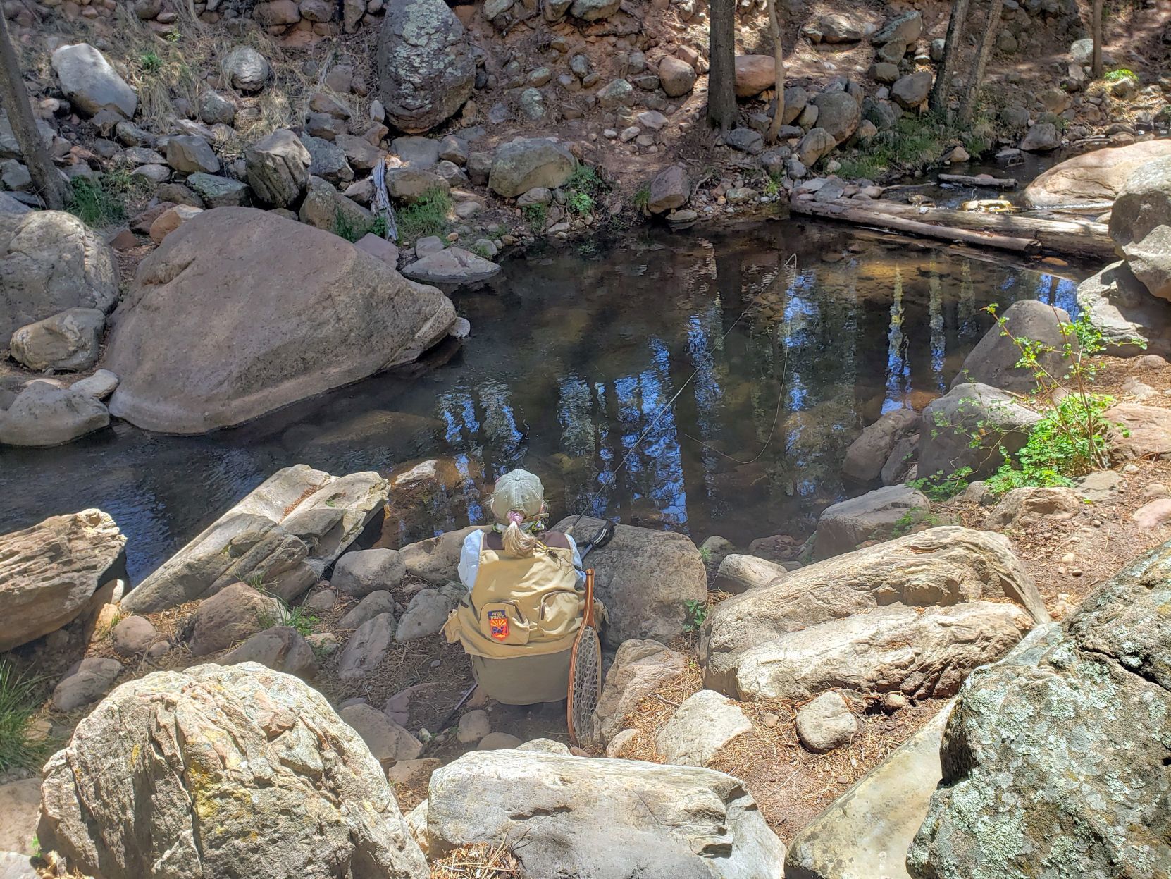 Fish Tonto Creek and Christopher Creek while the forest is open - Vimarsana News