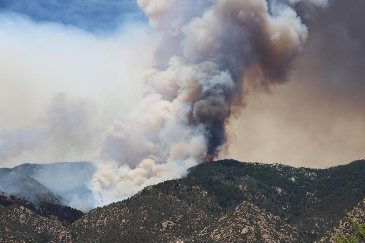 Council torches firewise code Forest Management Wildfires