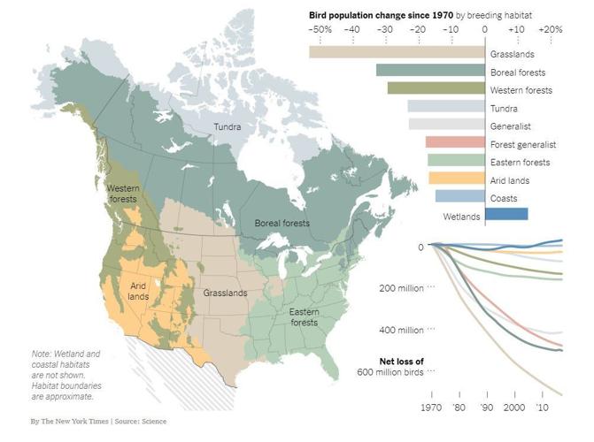 Mass death of migratory birds perplexes scientists | News ...