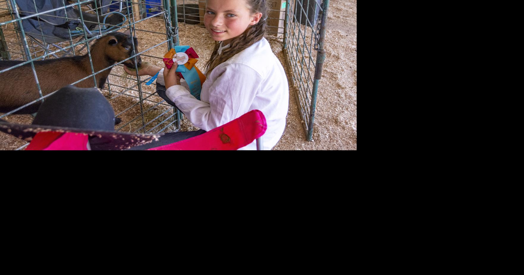Gila County Fair entertains, educates students Local News
