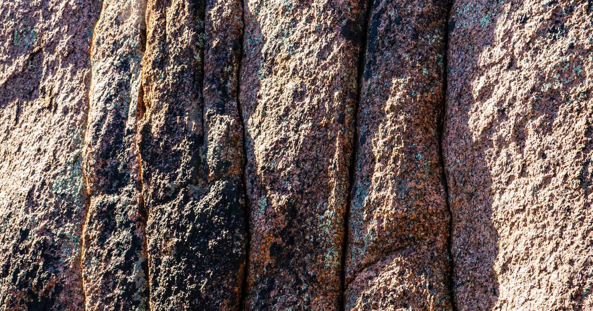 Die Wissenschaft der Ungewissheit (in meinem Hinterhof) | Nachrichten | paysonroundup.com – Payson-Zusammenfassung Die Wissenschaft der Ungewissheit (in meinem Hinterhof) | Nachrichten | paysonroundup.com – Payson-Zusammenfassung