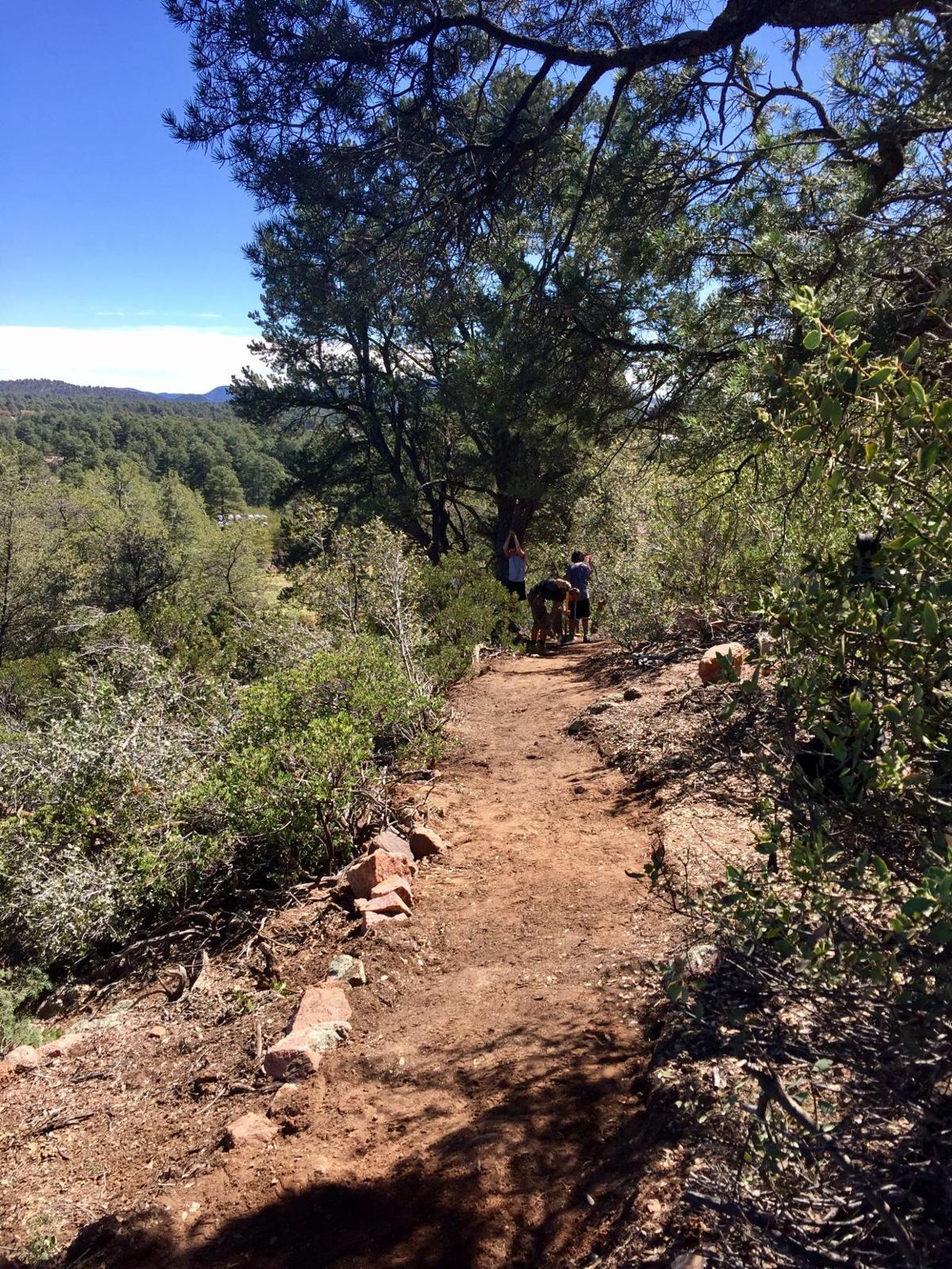 Mountain bike trail in Rumsey Park takes shape Payson