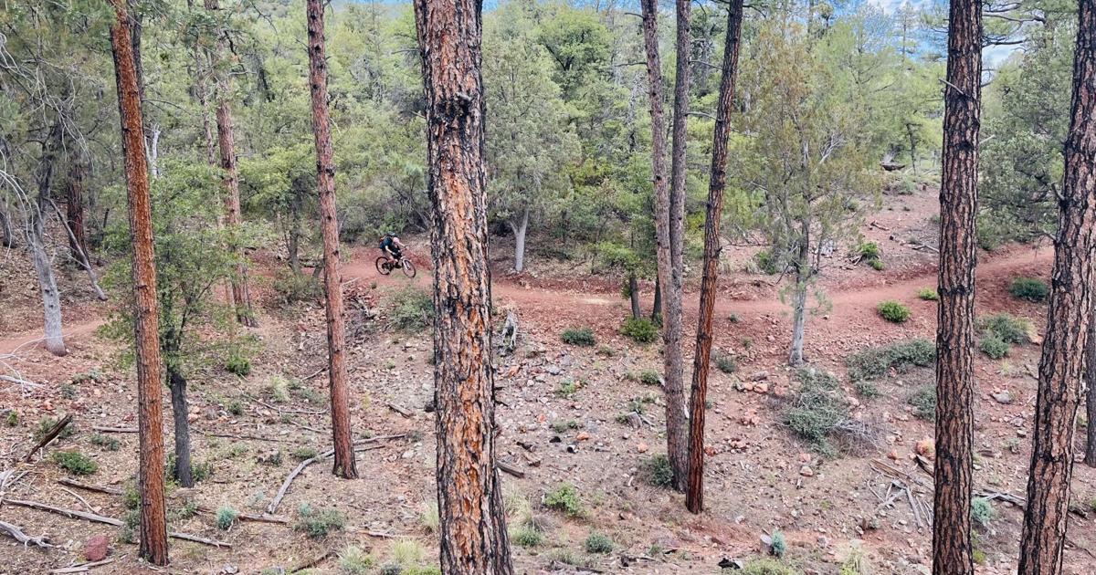 New trails transform Rim Country riding experience
