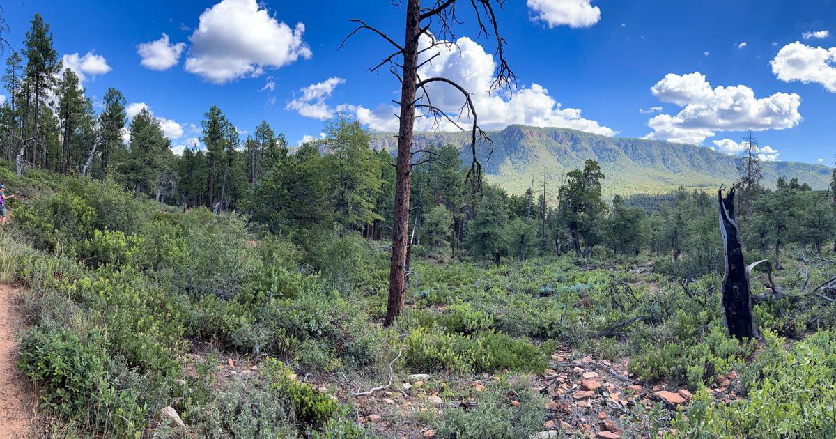 Testen Sie die Wissenschaft des Wohlbefindens auf dem Trail – Payson Roundup Testen Sie die Wissenschaft des Wohlbefindens auf dem Trail – Payson Roundup