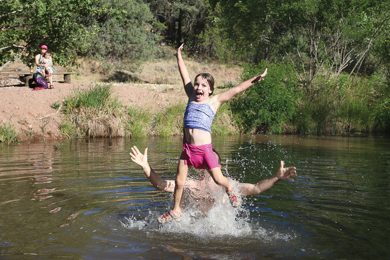 Critical appreciation of song of myself image