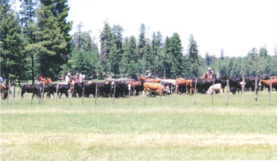 The Story of Payson, Arizona | | paysonroundup.com