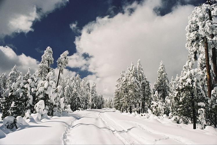 Payson Snow Extreme weather becoming the new normal | News | paysonroundup.com