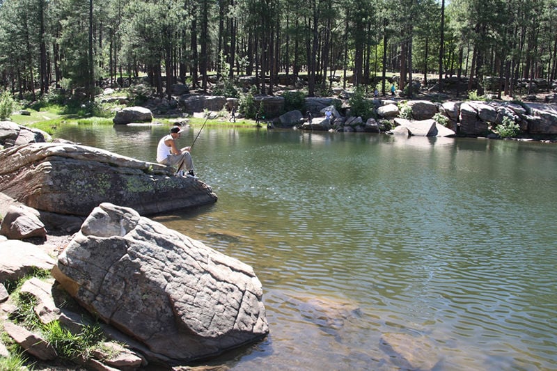 Canyon Creek Arizona Fly Fishing