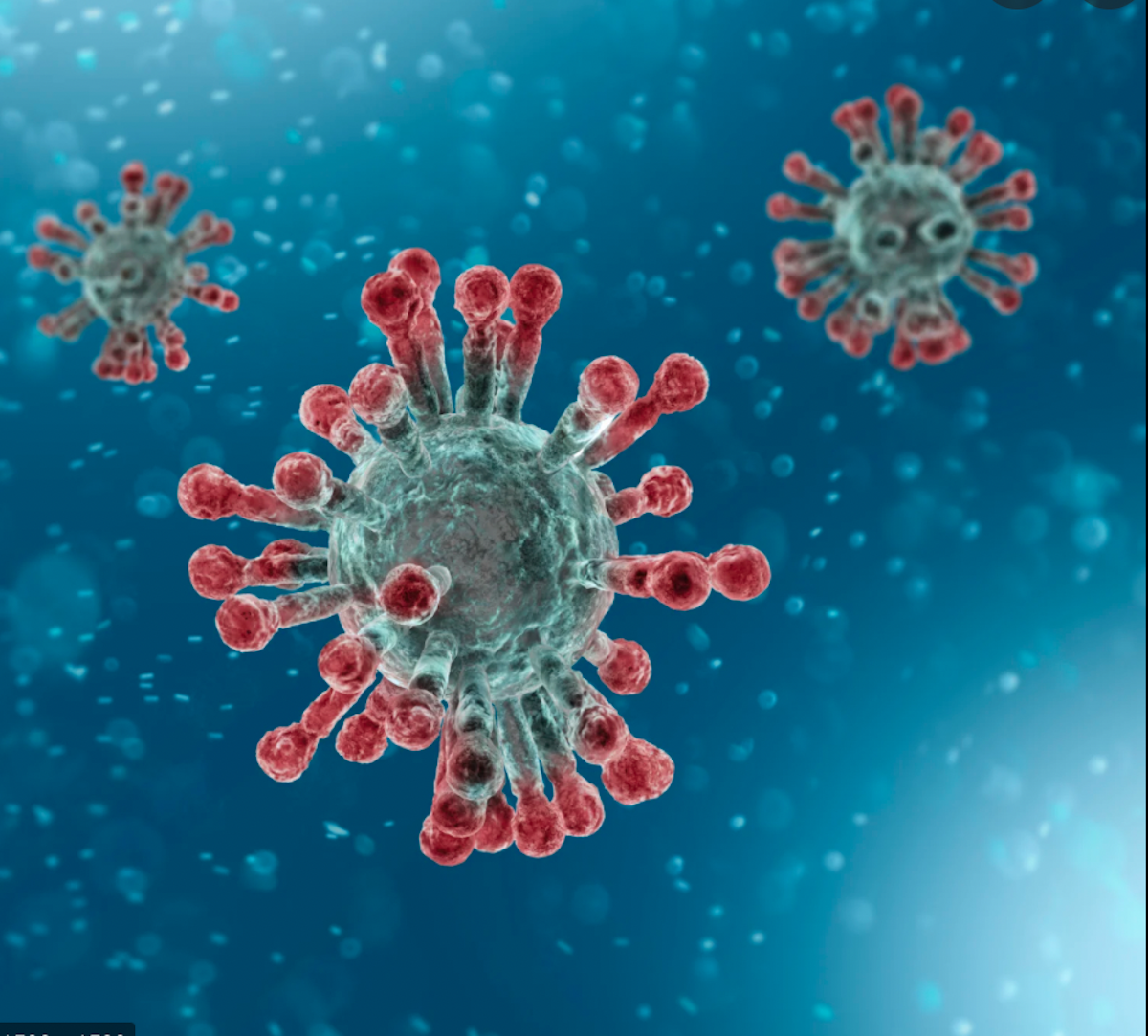 Health Experts Warn Delta Strain Complicates School Reopening Covid 19 Paysonroundup Com