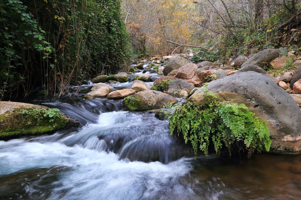 Fossil Creek Permits Go On Sale April 1 Gila County