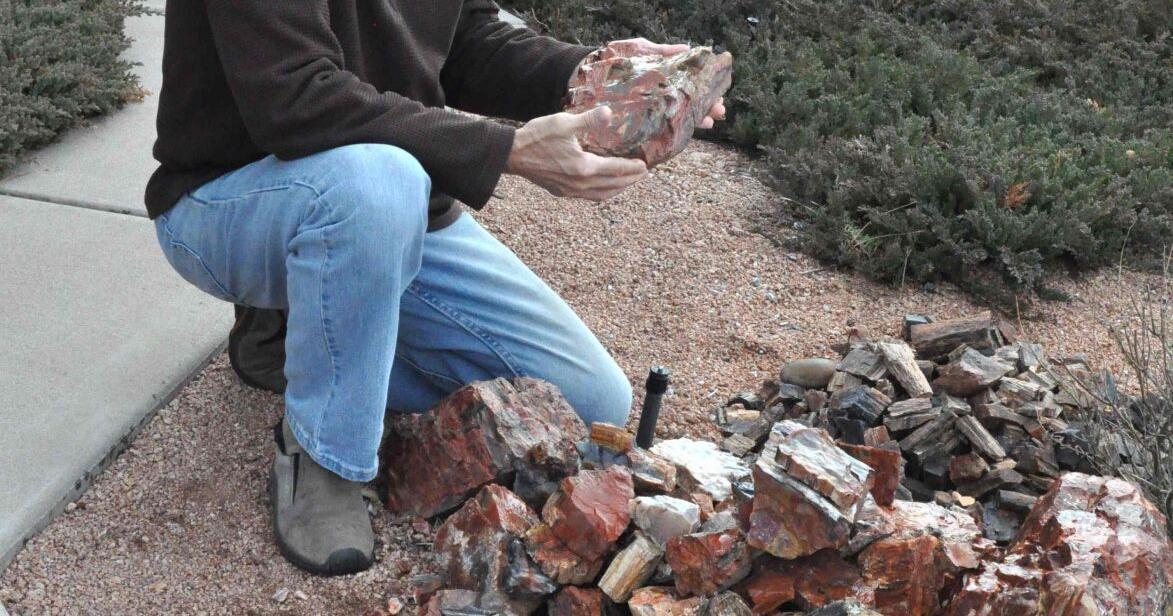 Get rock hunting with the Rimstones Rock Club | 260 Connection ...