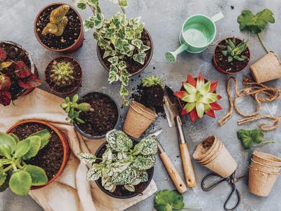 Gardening And Landscape Class Offered At Eac Payson Campus Education Paysonroundup Com