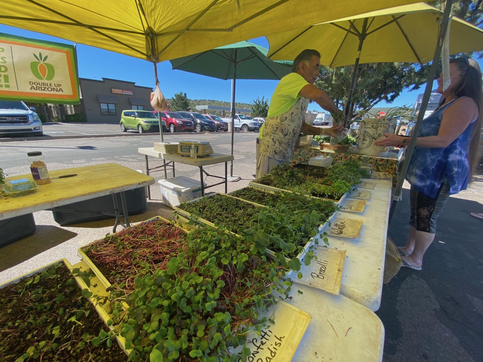 Micro greens at the Payson Farmers Market | | paysonroundup.com
